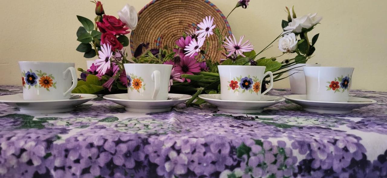 Rosaspe Stintino Διαμέρισμα Cuile Ezi Mannu Εξωτερικό φωτογραφία